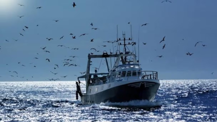 ​Accord de pêche : Le Maroc et la Russie en passe de signer un accord quadriennal