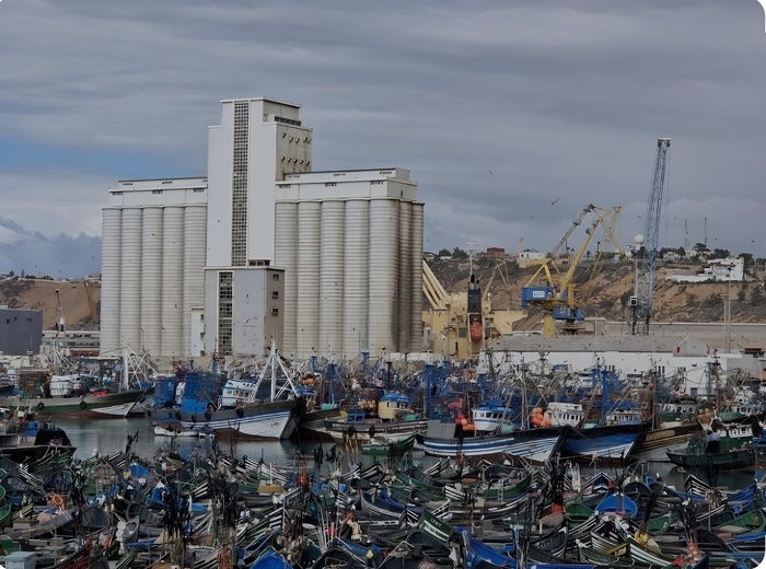 Focus sur les défis secteur de la pêche au port de Safi