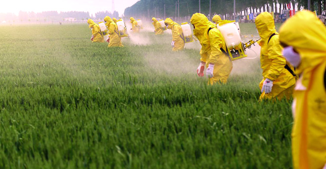 Importation de pesticides interdits : le duel entre l’ONSSA et Greenpeace