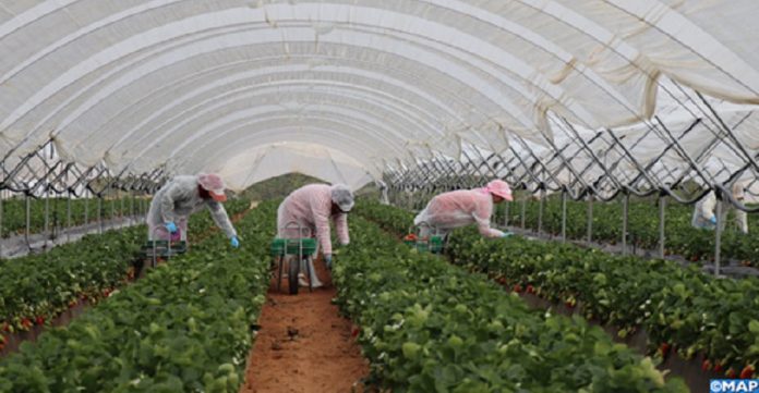 Secteur agricole : Les opérateurs déçus du PLF 2021