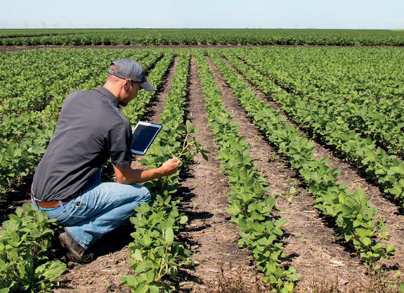 Pesticides : et si l’agriculture bio était la solution ?