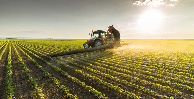 Agriculture : L'année s'annonce prometteuse