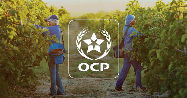 Coopération Maroc-Nigeria : l’OCP en première ligne pour le développement agricole