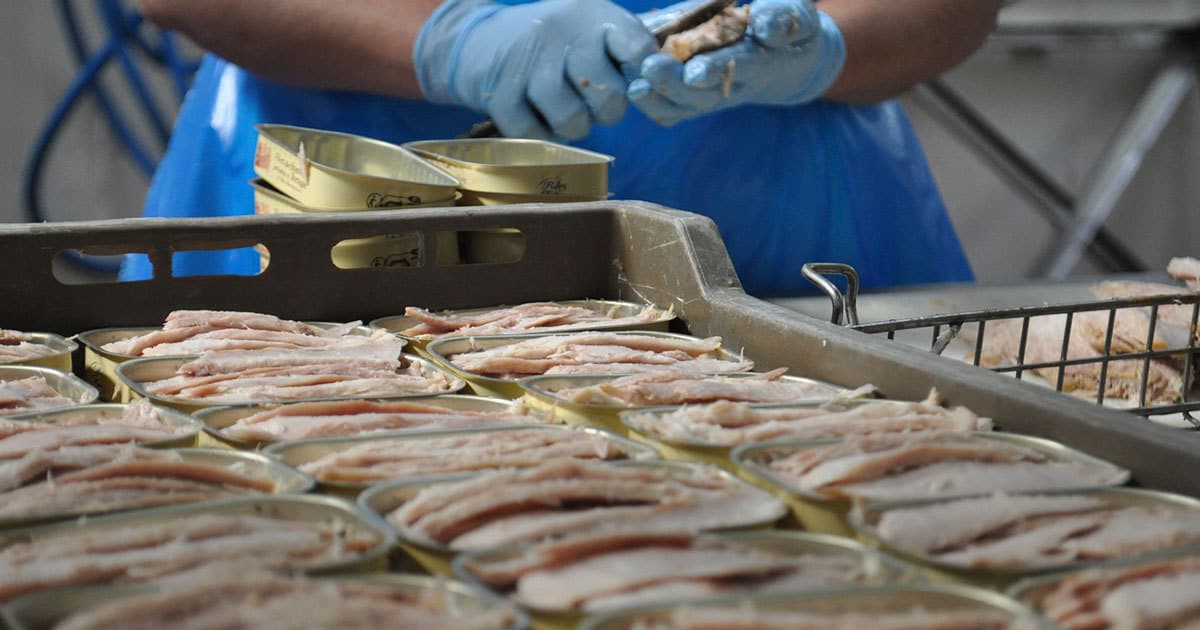 Les industriels de la conserve de poisson traversent une crise "sans précédent" 