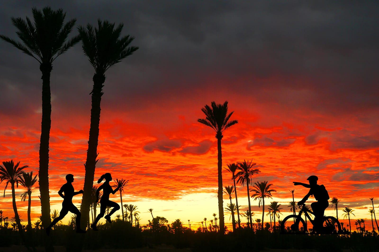 Trail Marrakech Palmeraie : Une course éco-challenge et sociale voit le jour