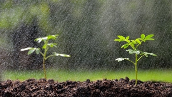 Les précipitations reviennent, des chutes de neige et de fortes pluies ce dimanche au Maroc