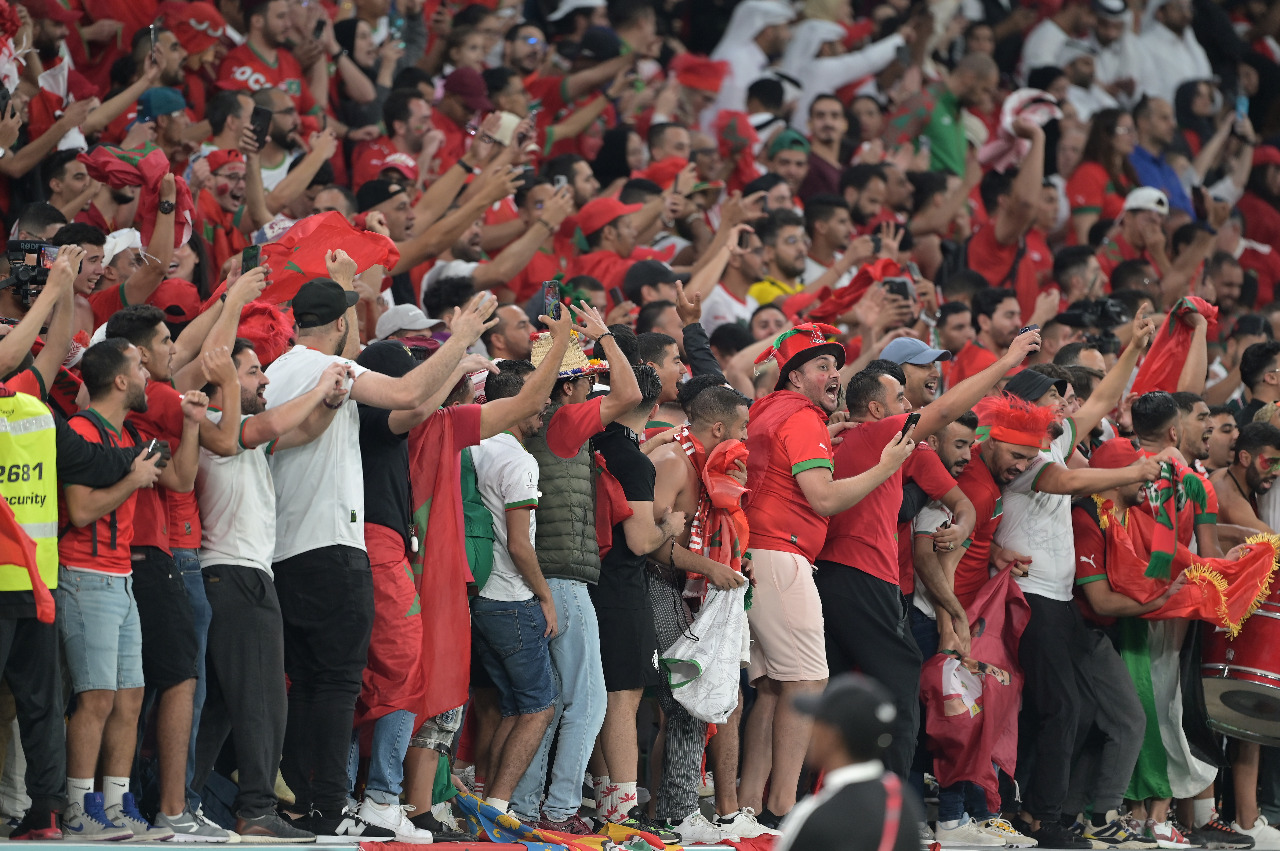 En direct du Qatar : La victoire historique des Lions en images