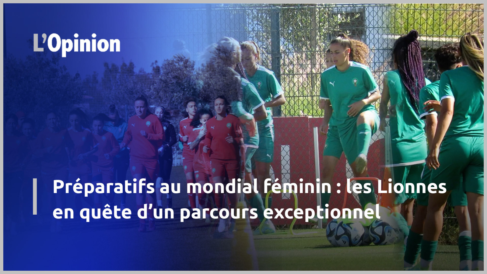 Préparatifs Au Mondial Féminin Les Lionnes En Quête Dun Parcours