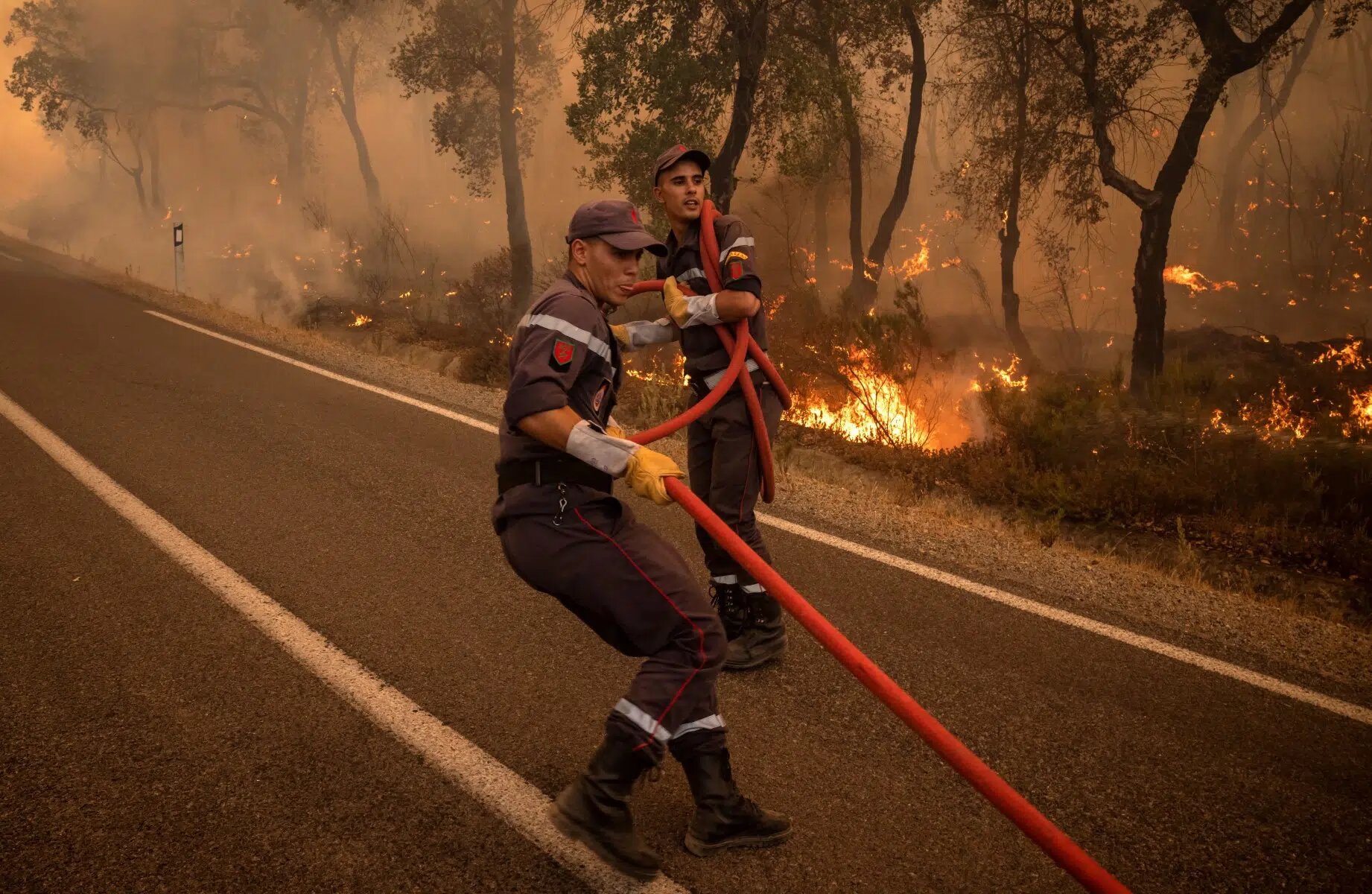 Les niveaux de dangerosité sont répartis entre les niveaux Rouge, Orange et Jaune.