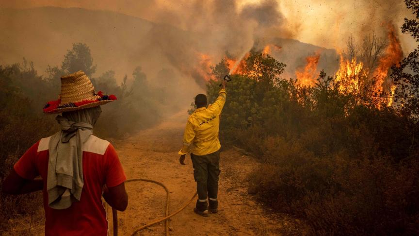 Incendies de forêts : 1.251 hectares affectés depuis janvier 