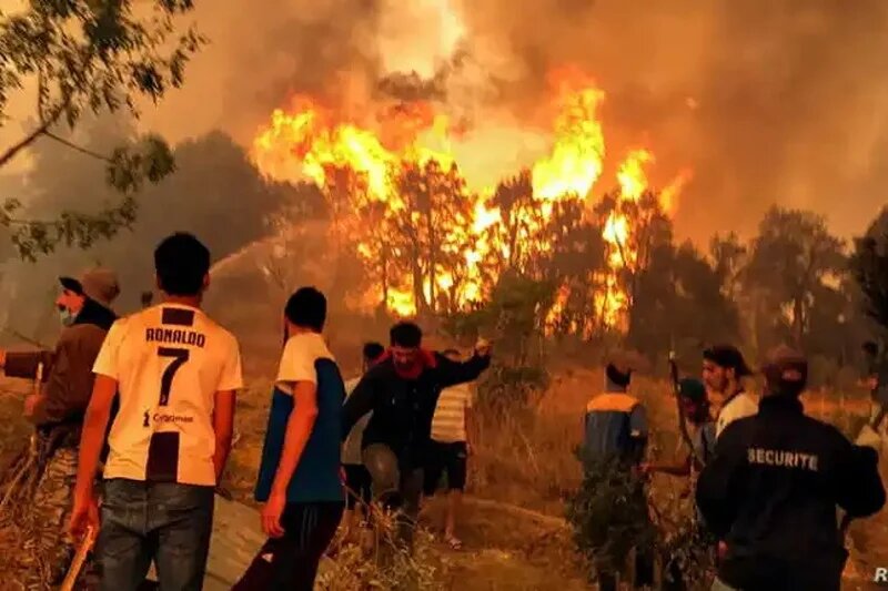 Feux de forêt : Bilan lourd en Algérie