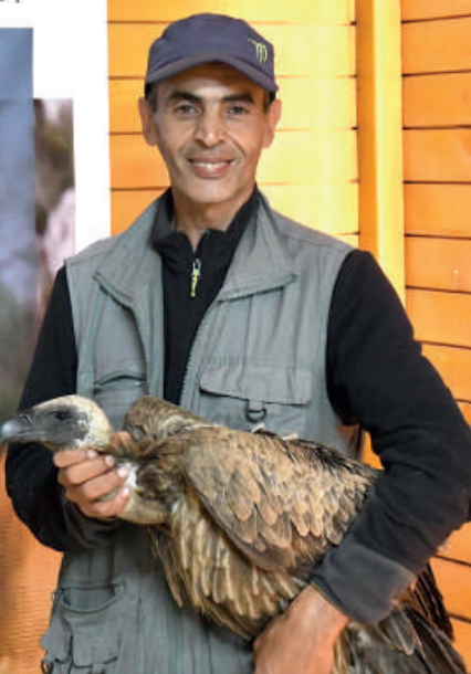 Ornithologue et naturaliste passionné, Rachid El Khamlichi est également président de l'Association Marocaine de Protection des Oiseaux et de la Vie Sauvage (AMPOVIS). Il répond à nos questions.