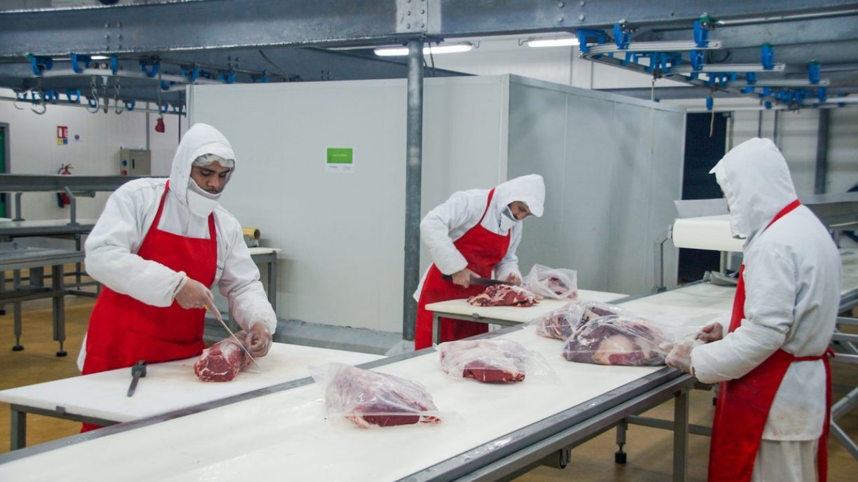  Casablanca  : Renforcement du dispositif qualité des abattoirs 