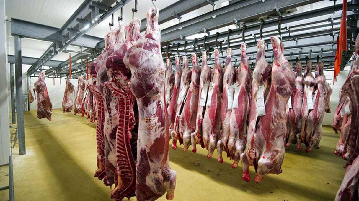 Laftit : 30 millions de dirhams alloués à la réforme des abattoirs dans plusieurs communes