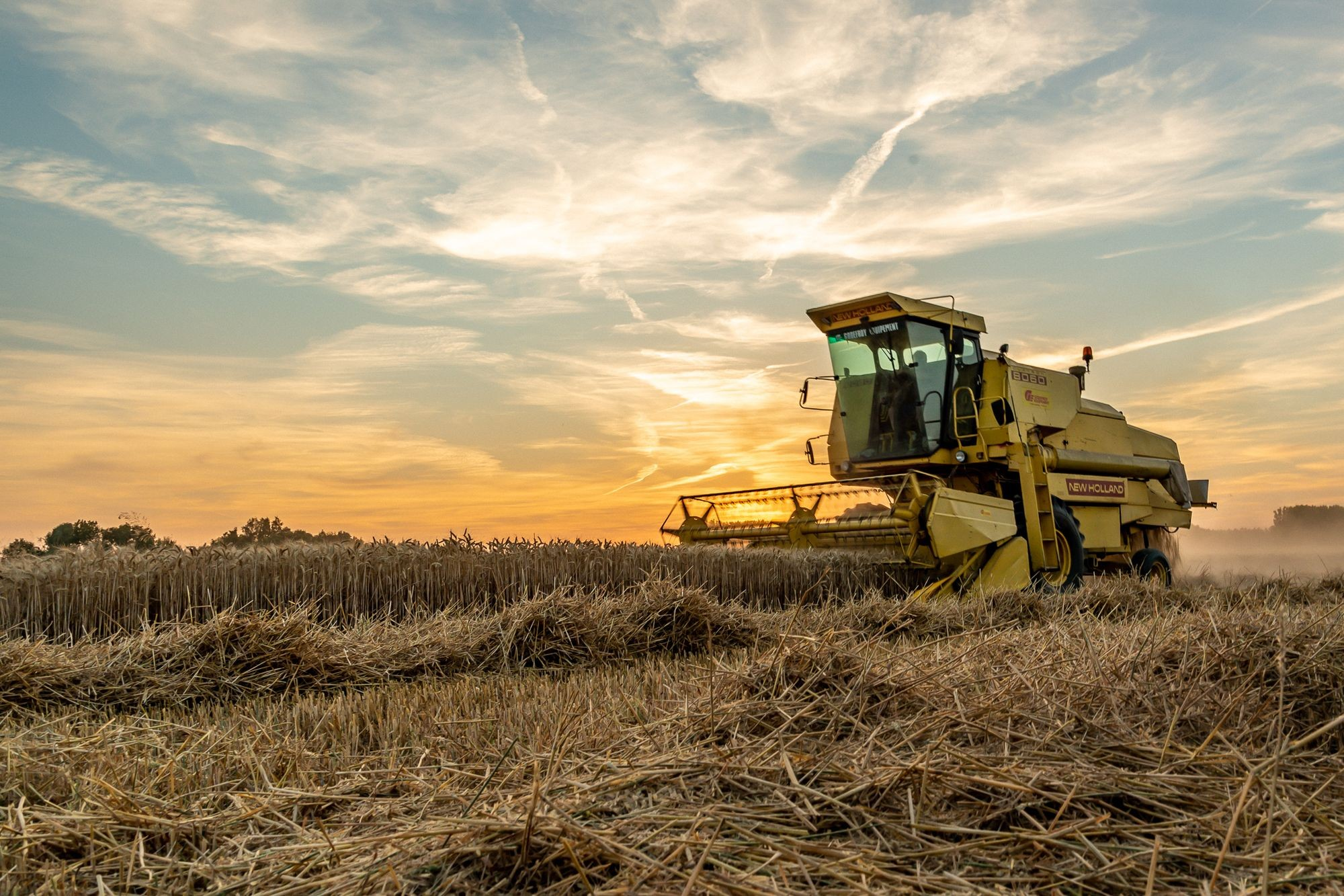 IRES : Des propositions innovantes pour un avenir meilleur de l’agriculture marocaine