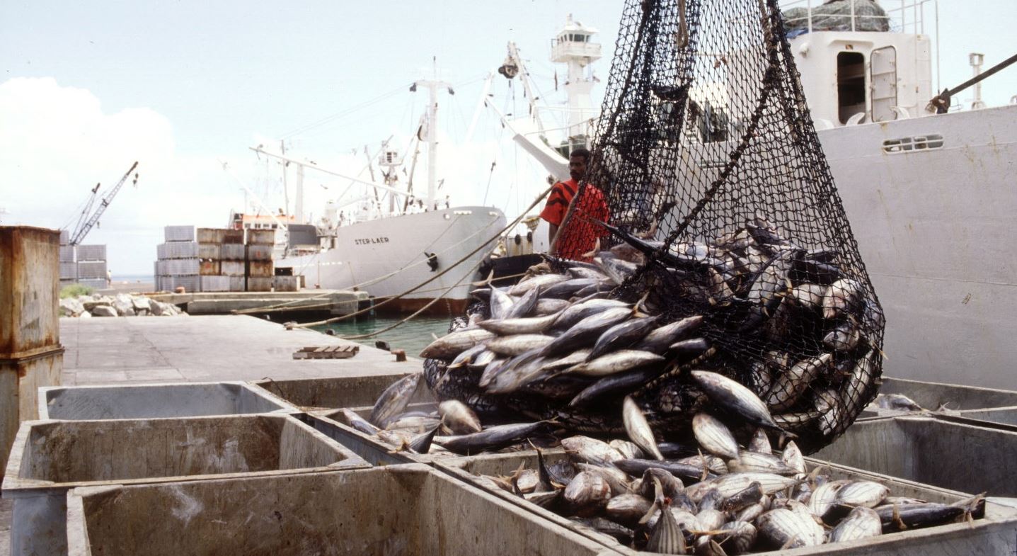 Pêche illicite : Comment le Maroc lutte contre le braconnage maritime [INTÉGRAL]