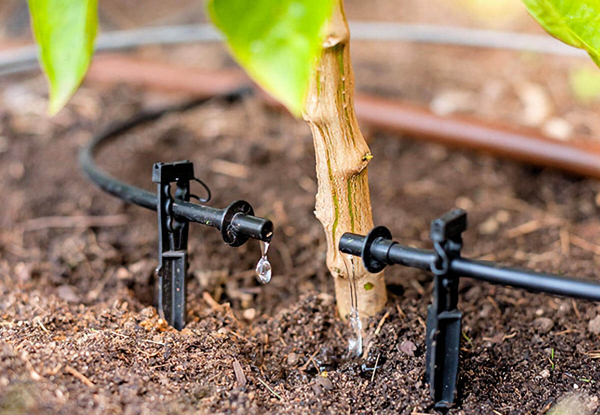 Kénitra: plus de 4.700 agriculteurs bénéficient d'un projet de reconversion en irrigation localisée