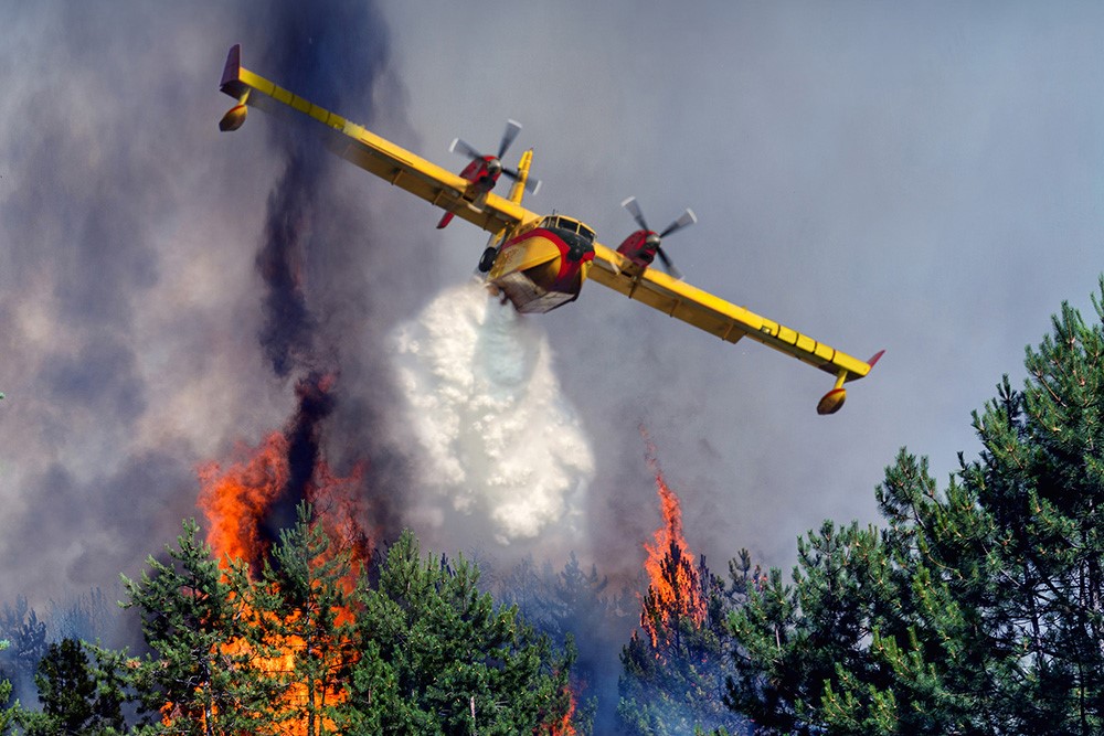 Incendies de forêts : Le secret d’une baisse inédite des zones sinistrées [INTÉGRAL]