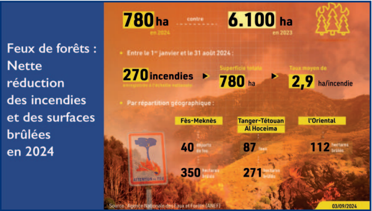 Incendies de forêts : Le secret d’une baisse inédite des zones sinistrées [INTÉGRAL]