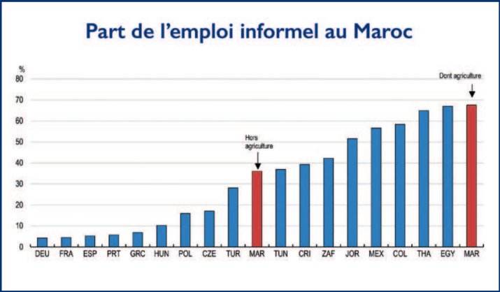 Économie marocaine : L’analyse sans concession de l’OCDE [INTÉGRAL]