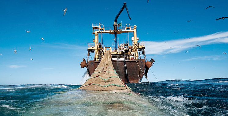 Accord de pêche Maroc-UE  : la FENIP appelle à chercher de nouveaux marchés après la décision de la Justice européenne