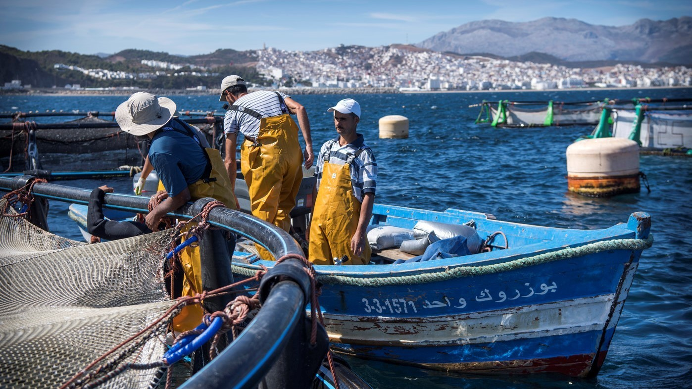 Pêche côtière et artisanale : hausse de 8% de la valeur des produits commercialisés à fin septembre