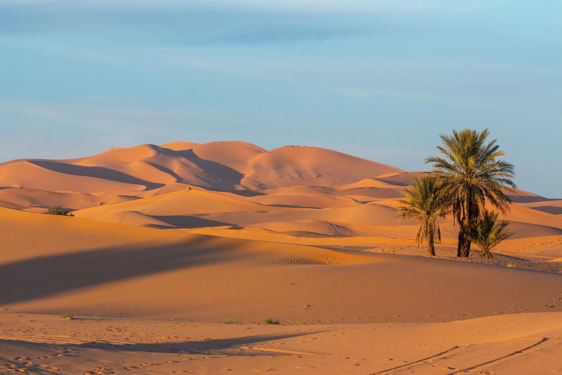 Energies vertes : Le Maroc aspire à doubler sa production électrique au Sahara