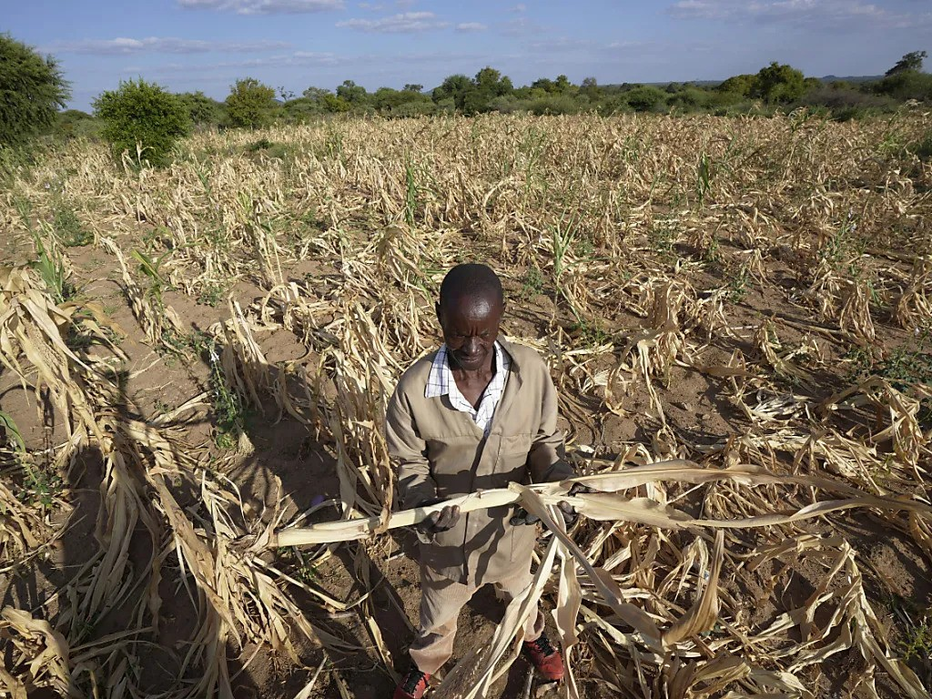 Sécurité alimentaire : Madagascar parmi 6 pays en situation «alarmante» dans le monde