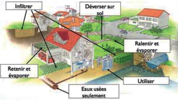 Averses torrentielles : Stress test pour le système de drainage de nos villes ? [INTÉGRAL]