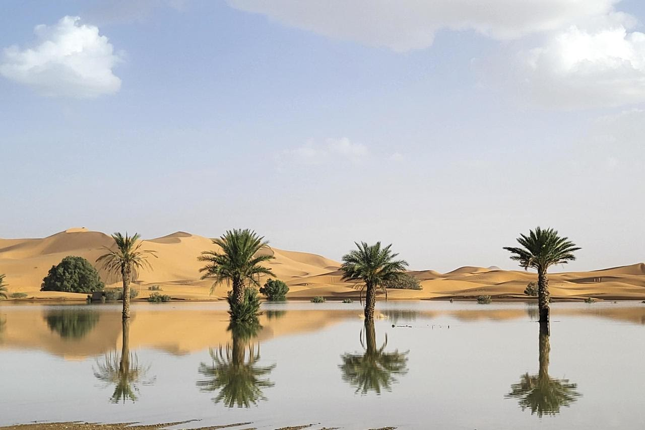 Lac Iriqui : Un miracle écologique au cœur du désert marocain