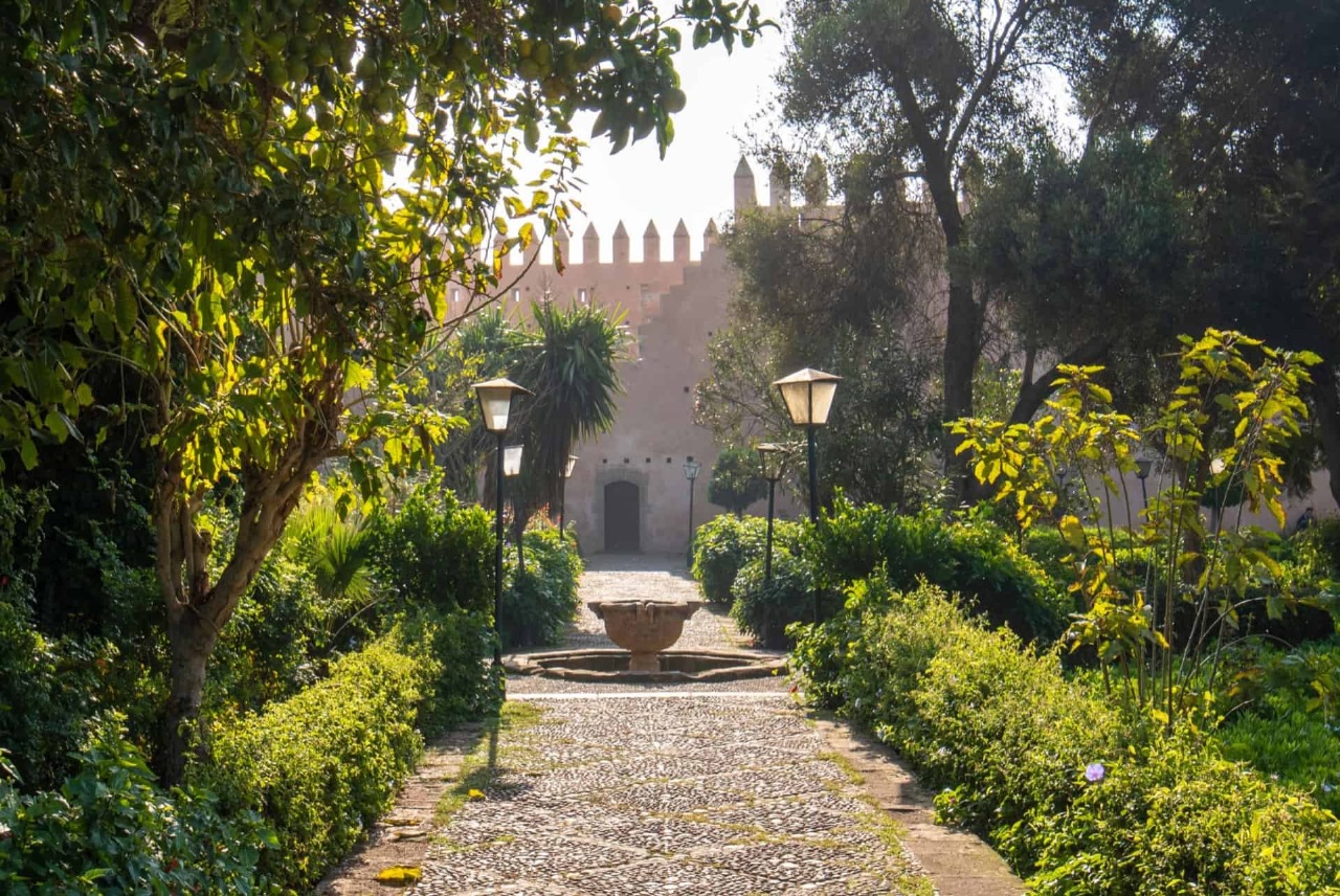 Au Jardin d’Essais, l’art d’El Ghrib s’épanouit sous le signe du vivant