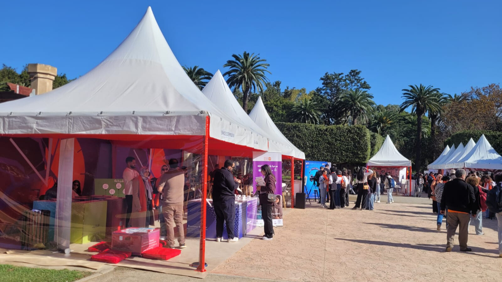 SNUD : Un “Village de l’Égalité” à Rabat pour faire barrage aux violences de genre