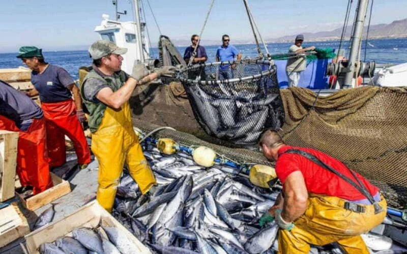 Espagne : Les pêcheurs contre le plan de pêche de l'UE