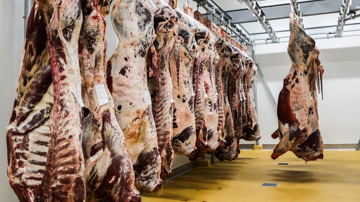 ​Importation de la viande : l'Argentine est desormais autorisée à exporter vers le Maroc