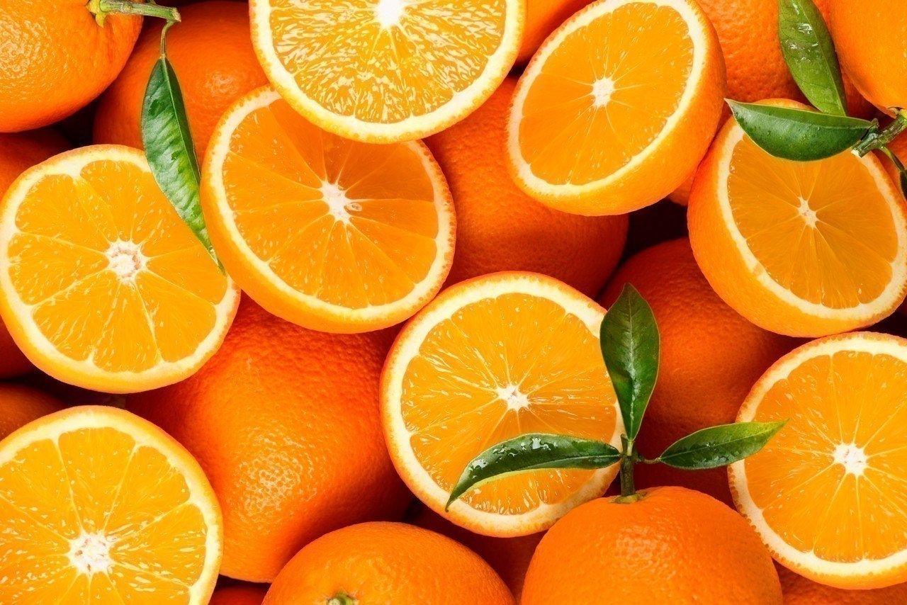 Nouveau record pour les exportations marocaines d’oranges à jus : un bond vers l’Europe