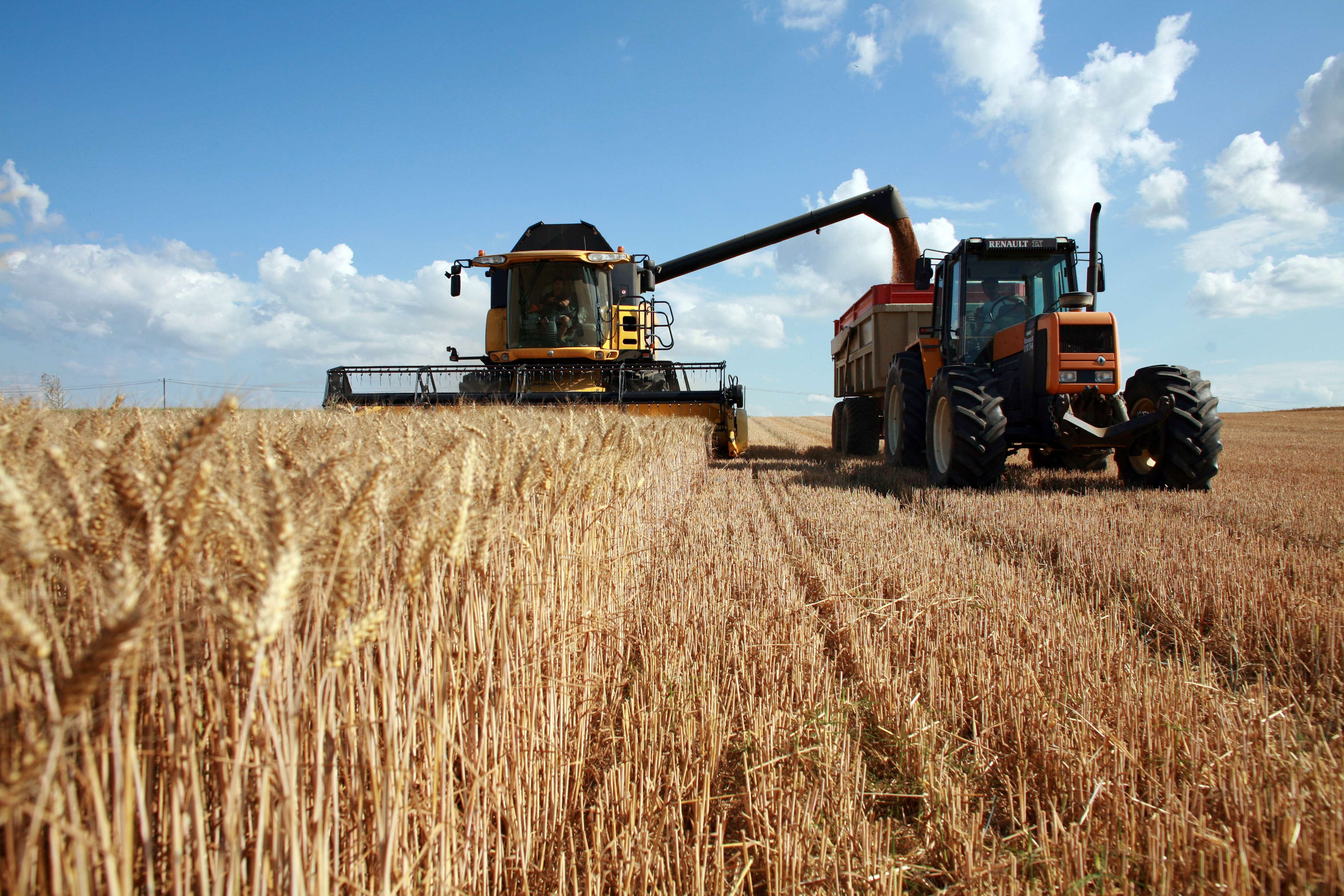 La Banque mondiale accorde 250 millions de dollars au Maroc pour renforcer l'agroalimentaire  