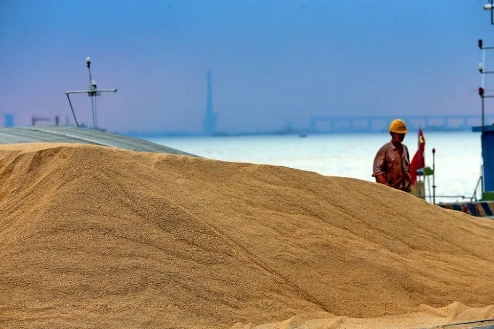 Les importations de blé tendre provenant de Russie atteignent un nouveau record