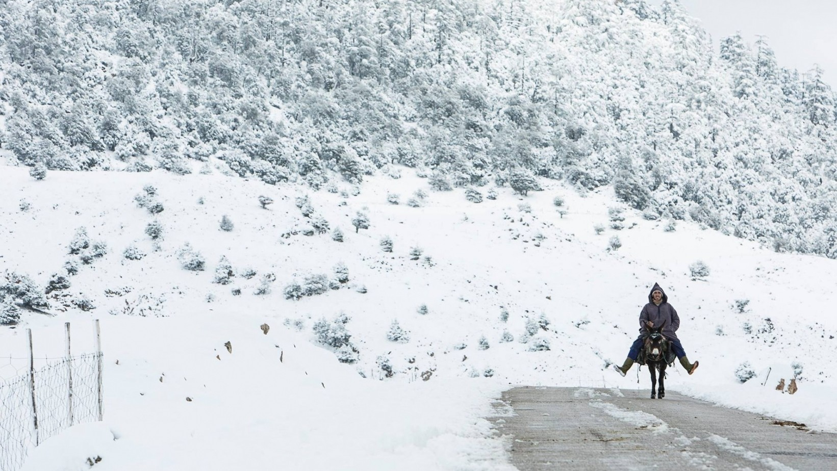 Azilal: Mobilisation d'une importante flotte d’engins pour le désenclavement et le déneigement de la province