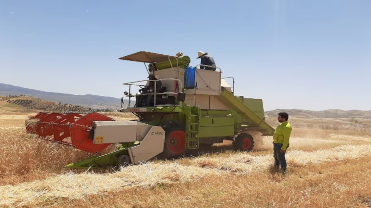 Taza : Plus de 45.000 agriculteurs bénéficient de la protection sociale