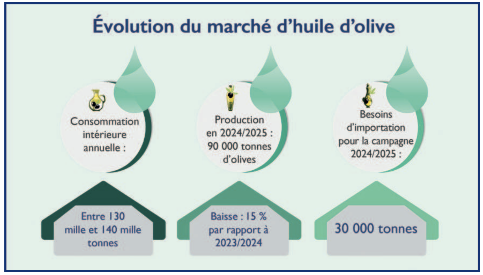 ​Huile d’olive : L’import a-t-il freiné la flambée des prix ? [INTÉGRAL]