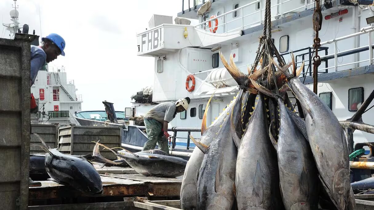 Pêche maritime : Un secteur stratégique en pleine mutation