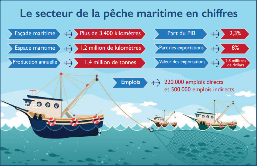 Pêche maritime : Un secteur stratégique en pleine mutation