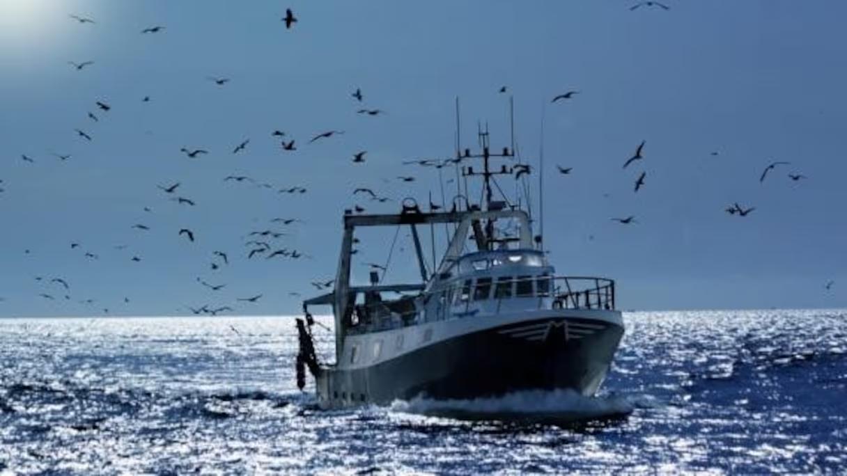 ​Maroc-Russie :  Renforcement de la coopération dans le domaine de la pêche au centre des discussions bilatérales