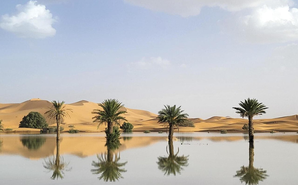 Lac Iriqui : Un miracle écologique au cœur du désert marocain