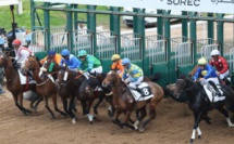 Le must des chevaux de courses  lors de la 5ème édition du meeting international du Maroc