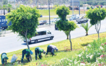 Casablanca : Une nouvelle vie pour les jardins de la métropole