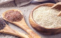 Youssoufia &amp; Rehamna :  Soutien consistant aux producteurs du quinoa