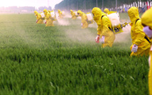 Importation de pesticides interdits : le duel entre l’ONSSA et Greenpeace