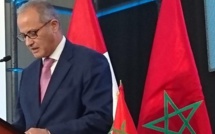 FAO : ​Le Maroc engagé dans les actions en faveur de la sécurité alimentaire en Afrique