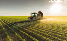 Agriculture : L'année s'annonce prometteuse